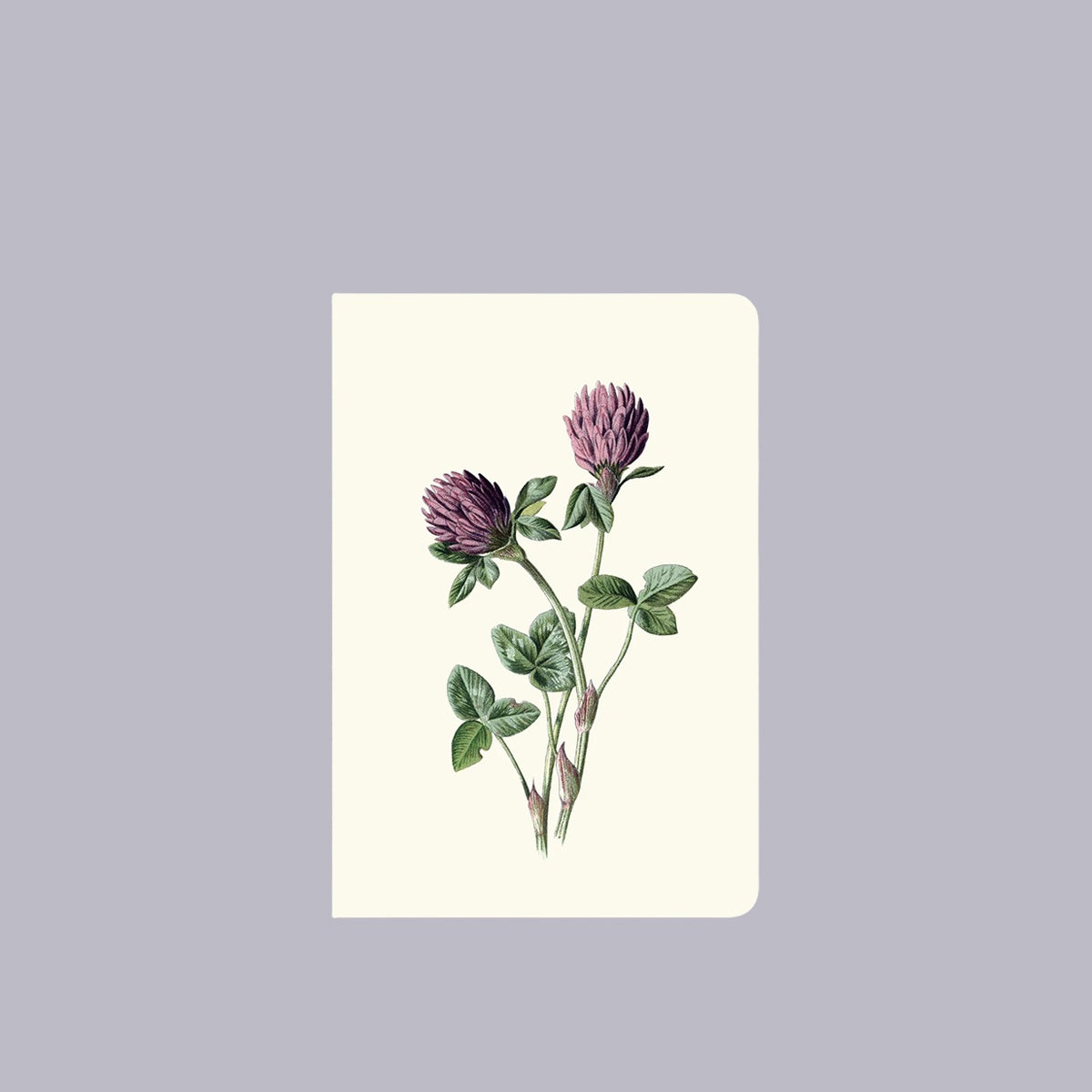 Notebook | Red Meadow Clover