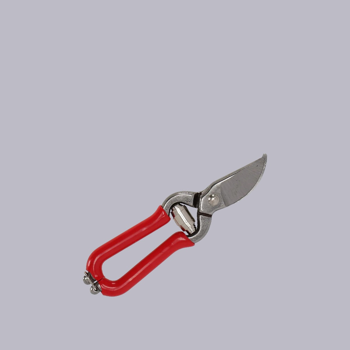 Pruner | Mini
