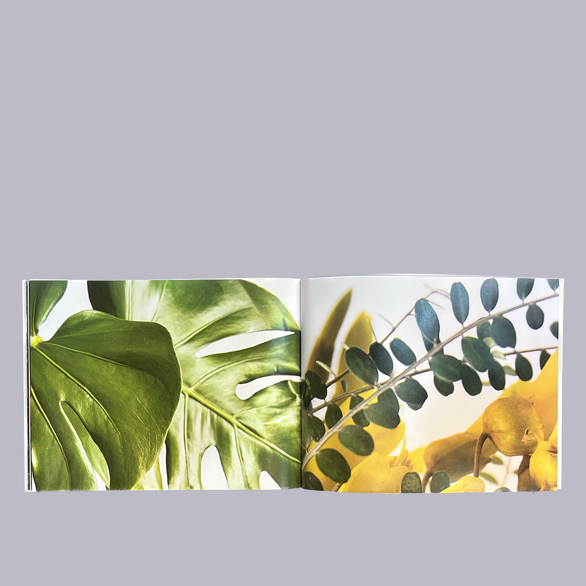 Artwrap | NZ In Bloom