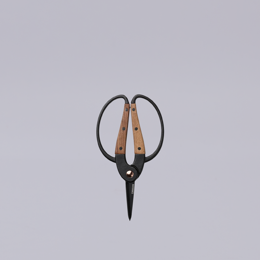 Barebones | Scissors | Walnut | Small