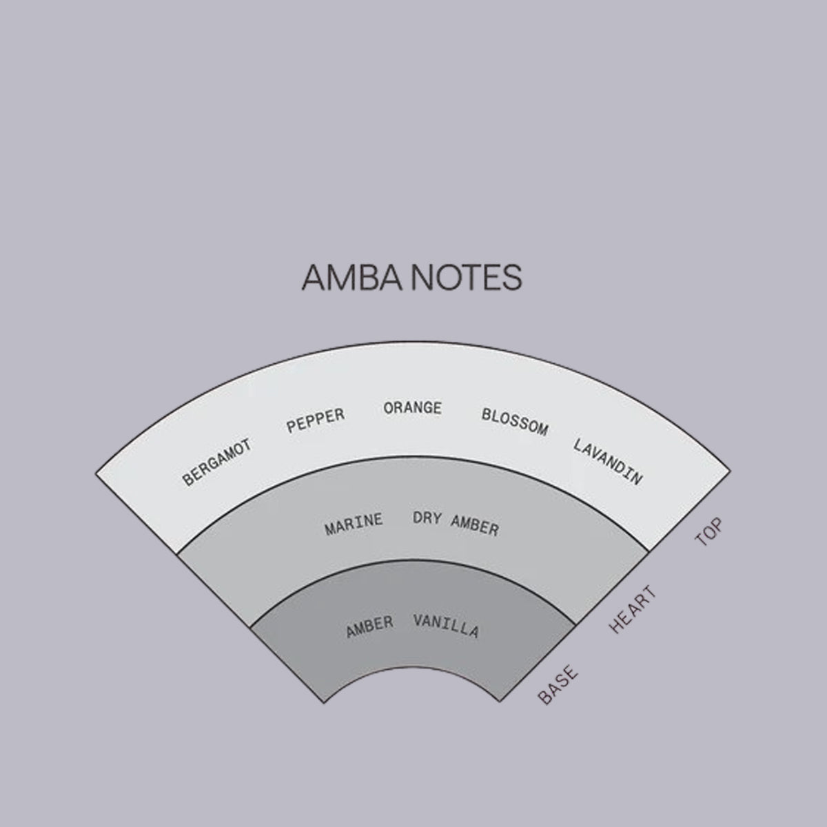 Saint Cobes | Solid Cologne | Amba