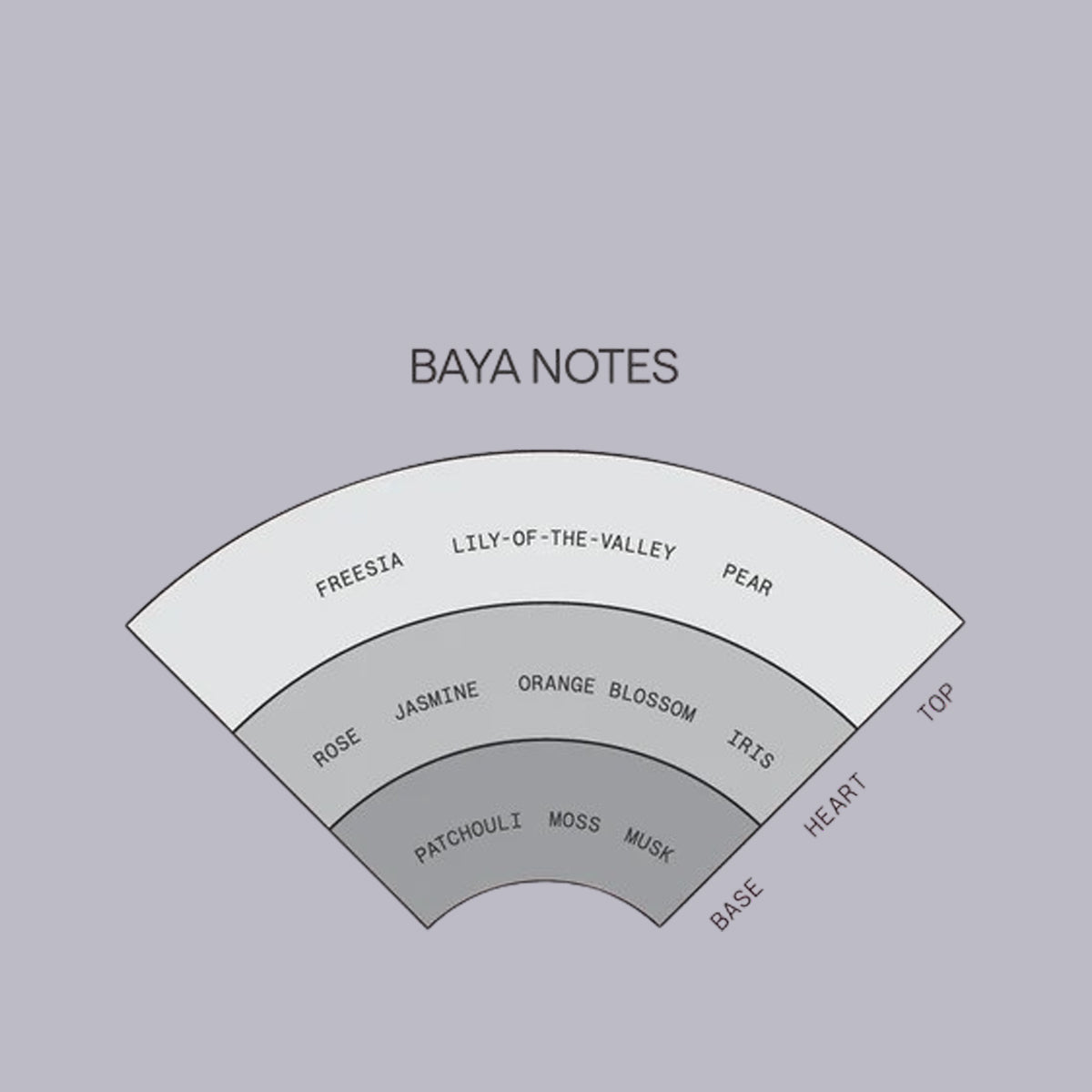 Saint Cobes | Solid Cologne | Baya