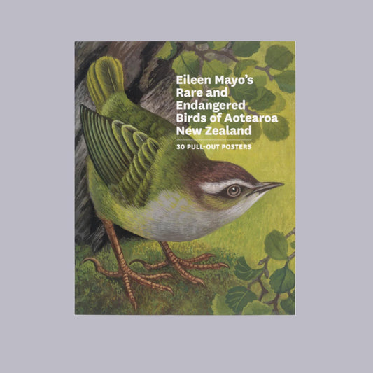 Eileen Mayos Rare & Endangered Birds of Aotearoa, NZ | 30 Pull Out Posters