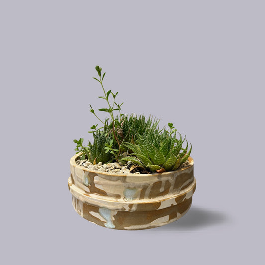 Jody Martin | Bonsai Planter | Sandstorm on Tongariro