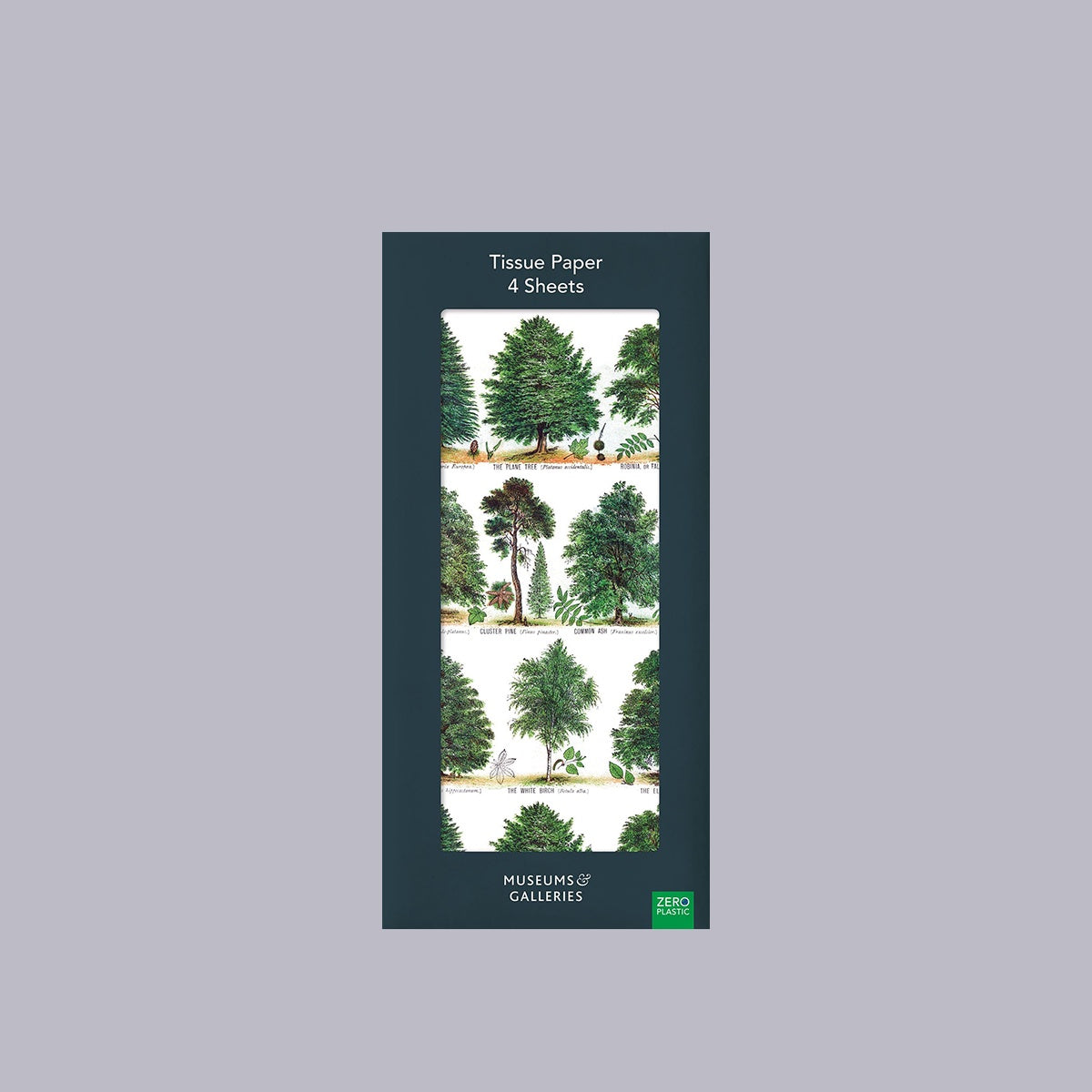 Museums & Galleries | Tissue Paper | British Trees