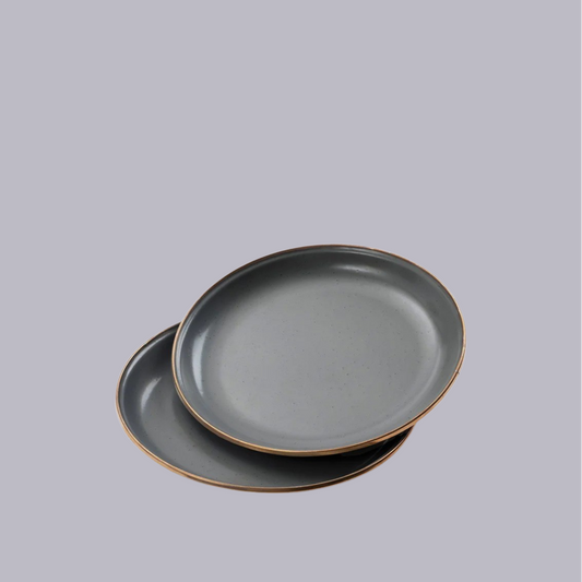 Barebones | Enamel Salad Plate | Slate Grey | Set 2