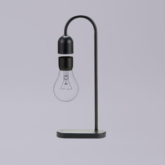 Gingko | Evaro |Teardrop Light Bulb Lamp