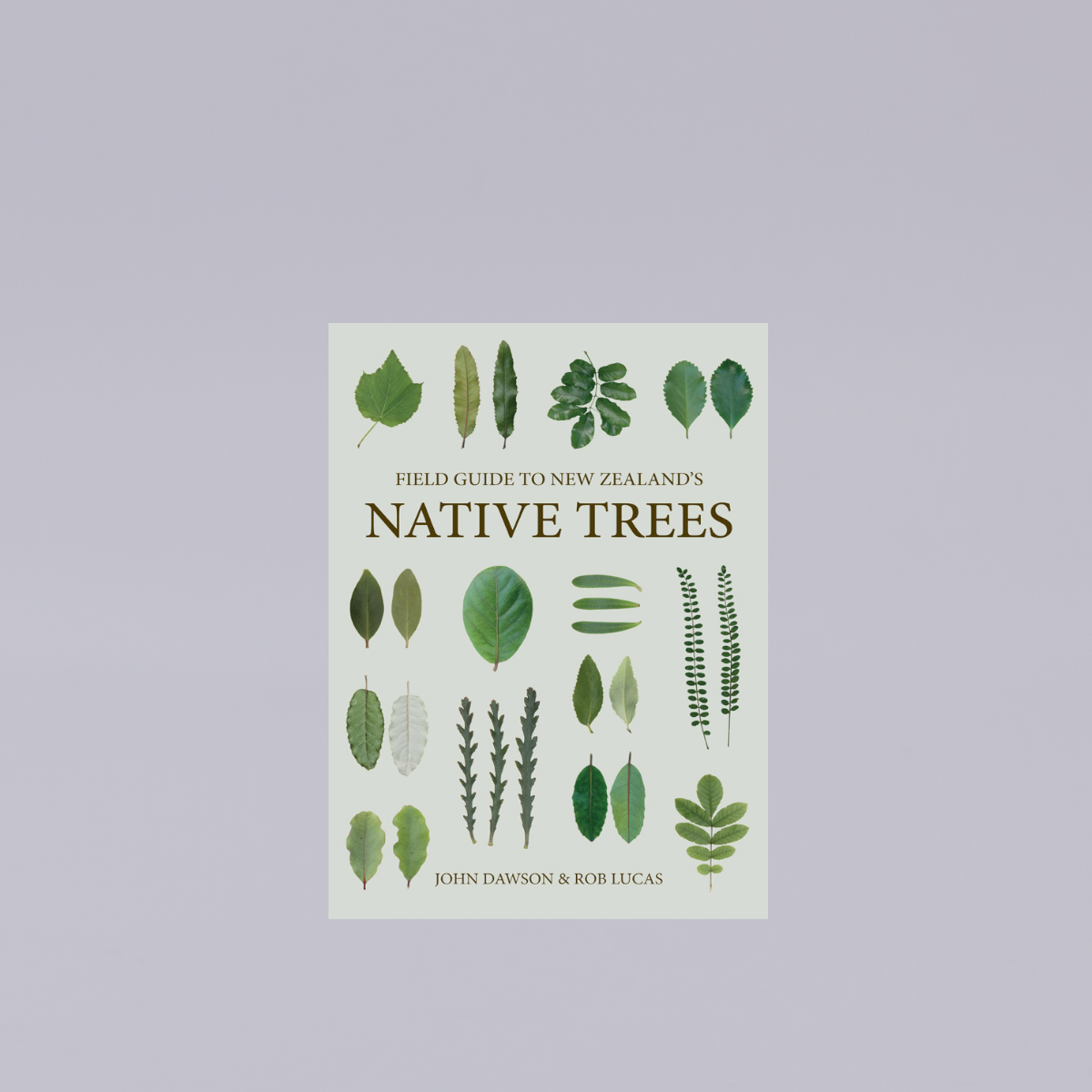 John Dawson & Rob Lucas | Field Guide to NZ's Native Trees