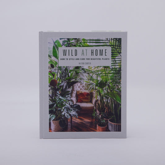 Wild At Home: How to Style & Care for Your Beautiful Plants | Hilton Carter